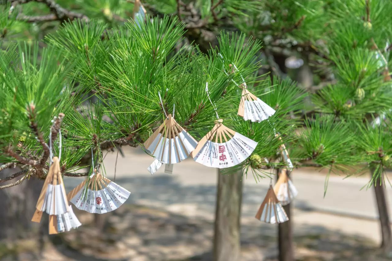 ⛩️ 지혜의 절(치온지) 이미지 5